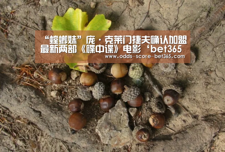“螳螂妹”庞·克莱门捷夫确认加盟最新两部《碟中谍》电影‘bet365网站’(图3) “螳螂妹”庞·克莱门捷夫确认加盟最新两部《碟中谍》电影‘bet365网站’(图3)