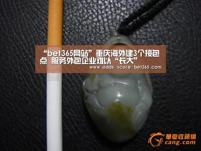 “bet365网站”重庆海外建3个接包点 服务外包企业难以“长大”(图1) “bet365网站”重庆海外建3个接包点 服务外包企业难以“长大”(图1)