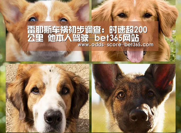 雷耶斯车祸初步调查:时速超200公里 他本人驾驶-bet365网站(图4) bet365网站